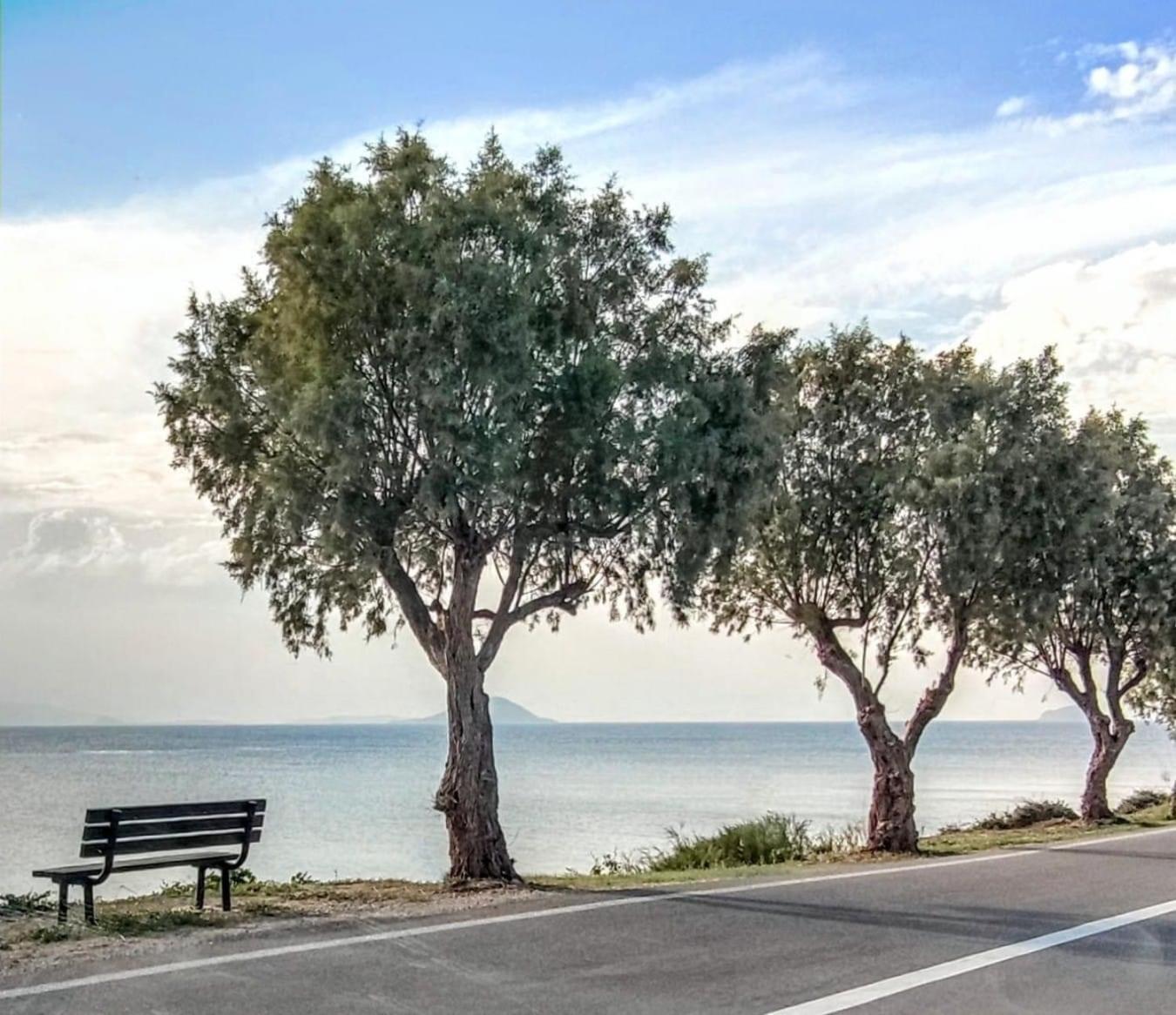 Gemela Allstarboutique In Aegina A エクステリア 写真